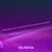 Тень-потетень - Расцвела под окошком белоснежная вишня