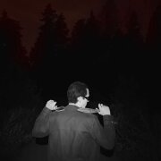 boneyblaze - ТЮЛЬПАНЫ