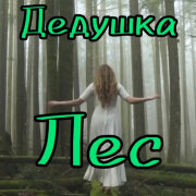 Снежинка Северянка - Дедушка лес