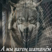 Garik Garik - А мы вагон шатанем