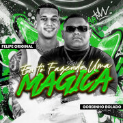 Gordinho Bolado, Felipe Original - Eu Tô Fazendo uma Mágica (Tik tok Version)