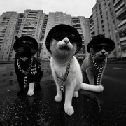 Это Радио - На мурмулях