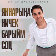 Линар Шаймухаметов - Яннарына ничек барыйм сон