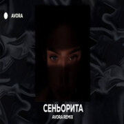 MARCUS - Сеньорита (AVORA REMIX)