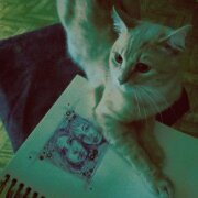 Падаем - Ты стоишь