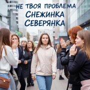 Снежинка Северянка - Не твоя проблема