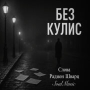 SoulMusic, Радион Шварц - Без кулис