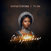 Братья Егоровы, ТУ-134 - Русская красавица