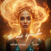 Братья Егоровы, ТУ-134 - Ты так красива