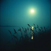 Cj Slepnev - Шумел камыш, деревья гнулись