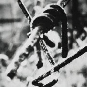 Miyagi, HLOY - Ограды