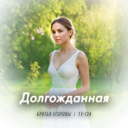 Братья Егоровы, ТУ-134 - Долгожданная