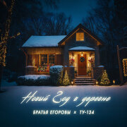 Братья Егоровы, ТУ-134 - Новый год в деревне