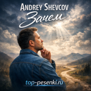 Andrey Shevcov - Зачем