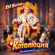 DJ Serzh - Котолюция
