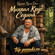 Группа Пули Дни, Михаил Круг - Седина