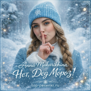Anna Makarikhina - Нет, Дед Мороз!