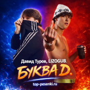 Давид Туров, LIZOGUB - БУКВА Д