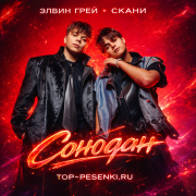 Элвин Грей, Скани - Сонодан