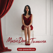 MusicDar - Тишина