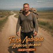 Толя Ладный - Дорога домой