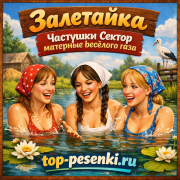 залетайка - Частушки сектор матерные весёлого газа