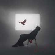 Кирилл Мойтон - Птица