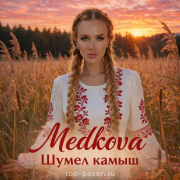 Medkova - Шумел камыш