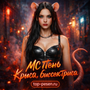 МС Пень - Крыса, биссектриса