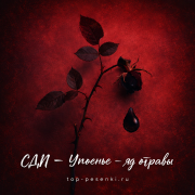 СДП - Упоенье — яд отравы