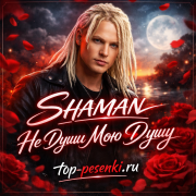 SHAMAN - НЕ ДУШИ МОЮ ДУШУ