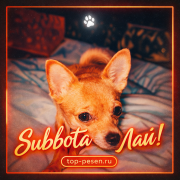 Subbota - Лай!