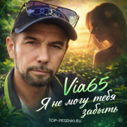 Via65 - Я не могу тебя забыть
